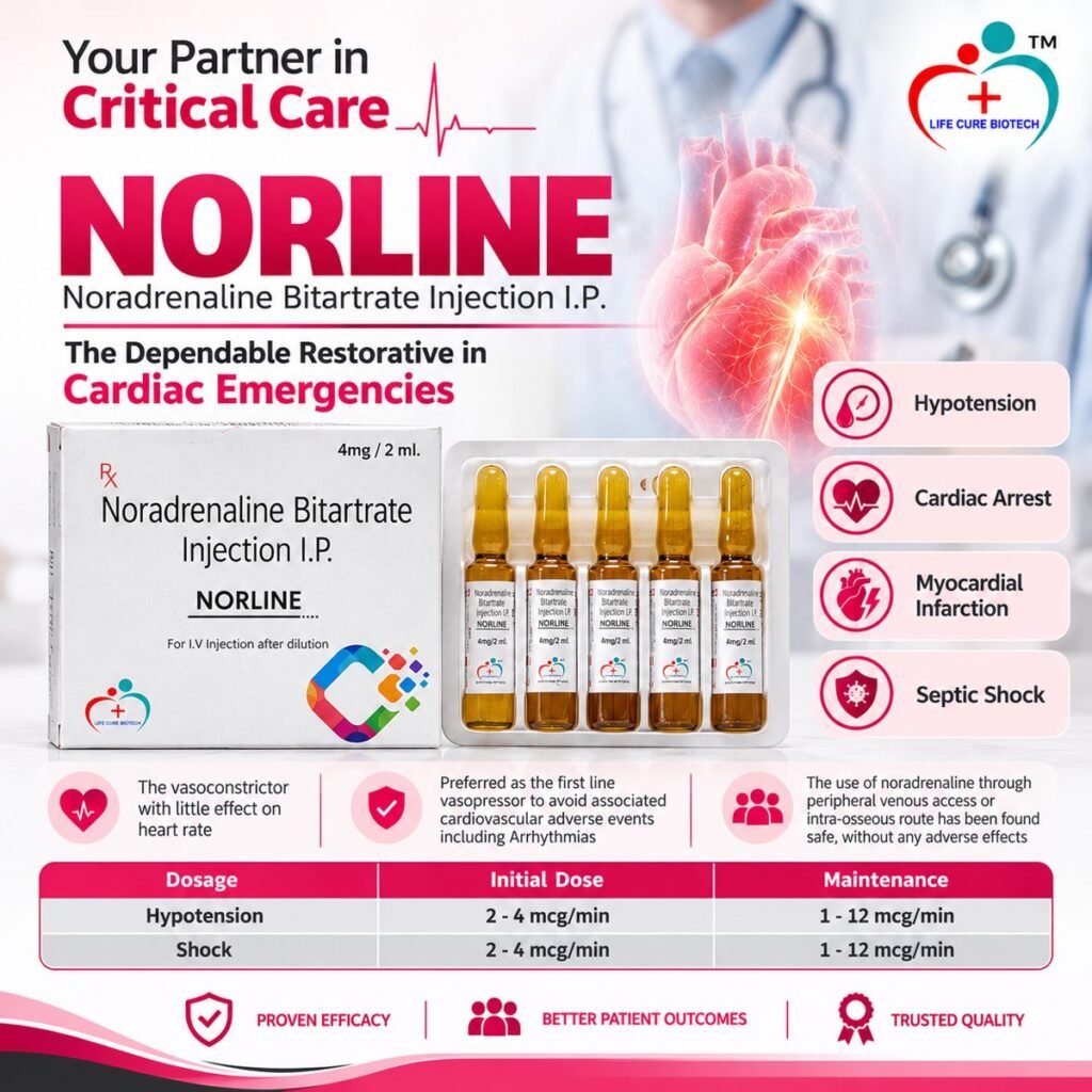 NORLINE product information